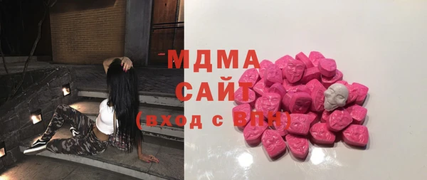 индика Алексин