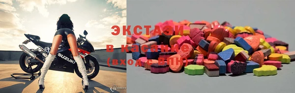 индика Алексин