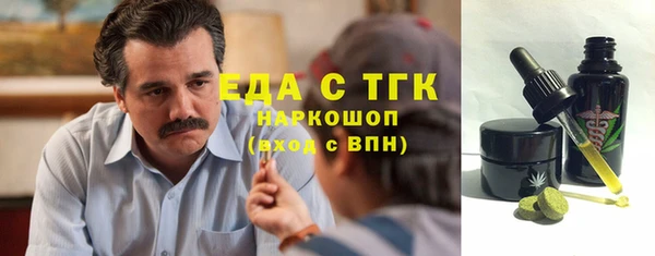 индика Алексин
