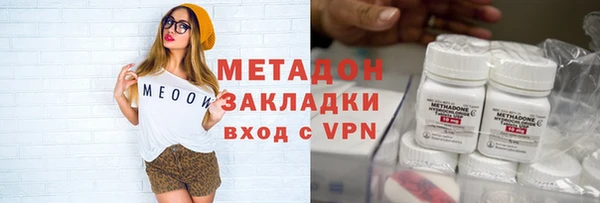индика Алексин