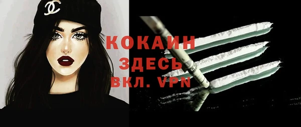 индика Алексин