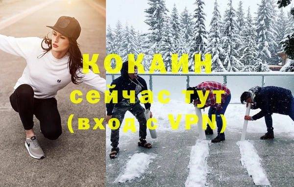 индика Алексин