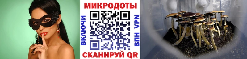 цены   mega рабочий сайт  Галлюциногенные грибы Psilocybine cubensis  Коркино 